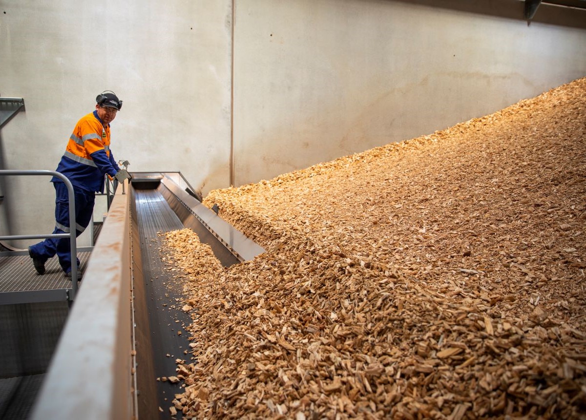 Wood chip in the McCain storage facility moves onto the conveyer belt to be transported to the boiler. . 